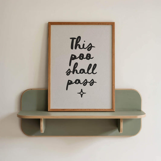 a framed poster with the text "This poo shall pass" on a shelf.
